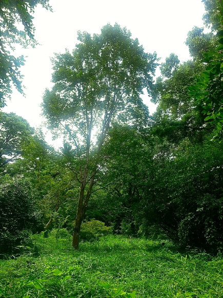 d0058064_20285418.jpg