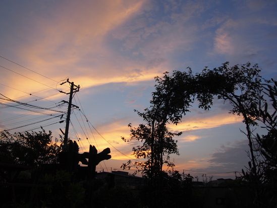 b0194267_16485787.jpg