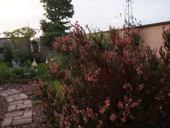 b0194267_1659921.jpg