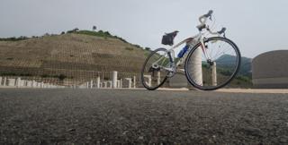 写真やら同窓会やらお墓参りやら......なにかと...._b0194185_2347426.jpg