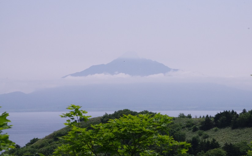 礼文島・礼文林道　レブンウスユキソウに出会った_c0144185_1657999.jpg