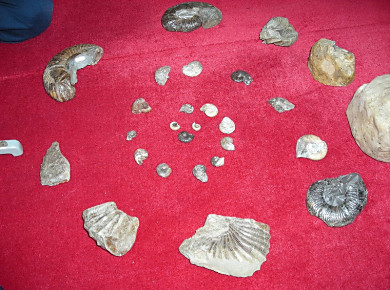 f0078286_923636.jpg