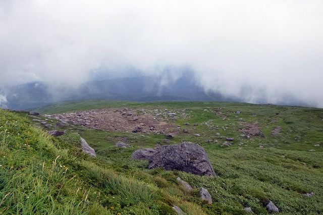 今年も花の月山へ_e0137200_22121731.jpg