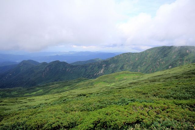 今年も花の月山へ_e0137200_2275828.jpg