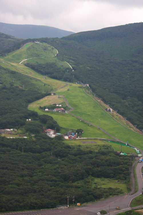 f0130601_10491336.jpg