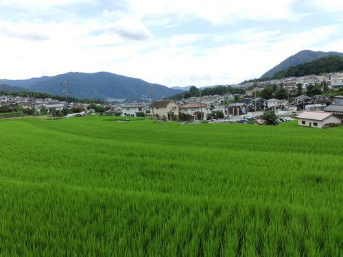 a0080406_2292871.jpg