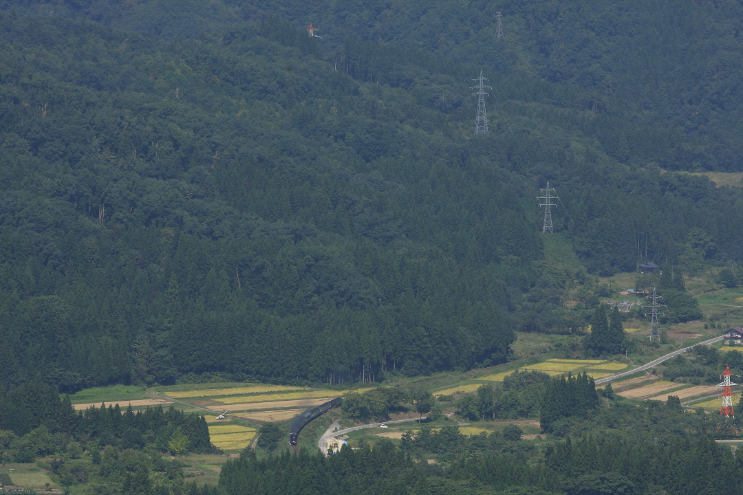 初秋の緑 - 2013年・磐西 - _b0190710_2364430.jpg
