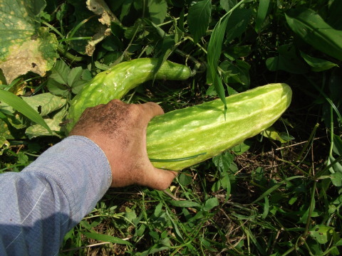 a0279321_14413486.jpg