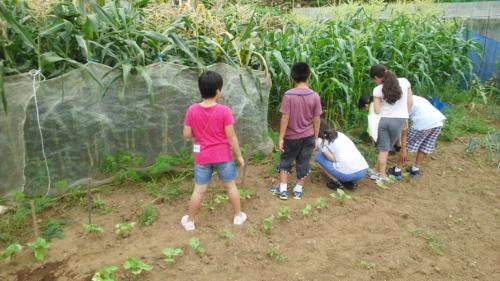 越前里地里山チャレンジ隊2日目_e0061225_19243183.jpg