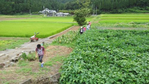 越前里地里山チャレンジ隊2日目_e0061225_19245764.jpg