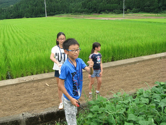 越前里地里山チャレンジ隊2日目_e0061225_19483726.jpg