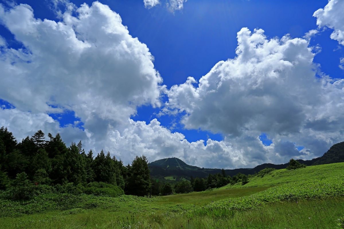 c0104227_9231330.jpg