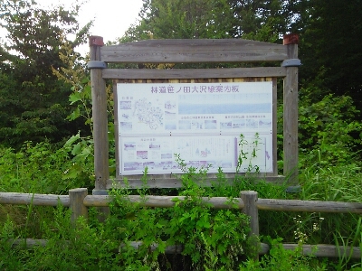 a0315448_2331223.jpg