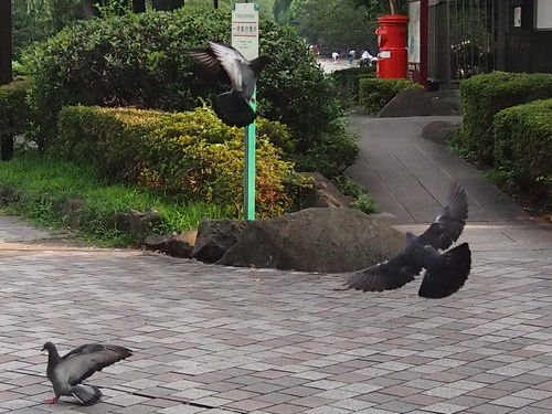 不忍池　下町風俗資料館　　東京　上野_e0201648_21163887.jpg