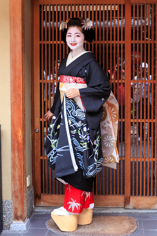 京都 舞妓さん うちわ 希少 ビンテージ - コレクション