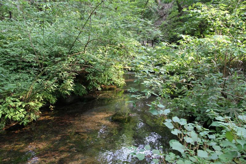 c0043751_16602.jpg