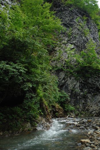 c0294658_20531396.jpg