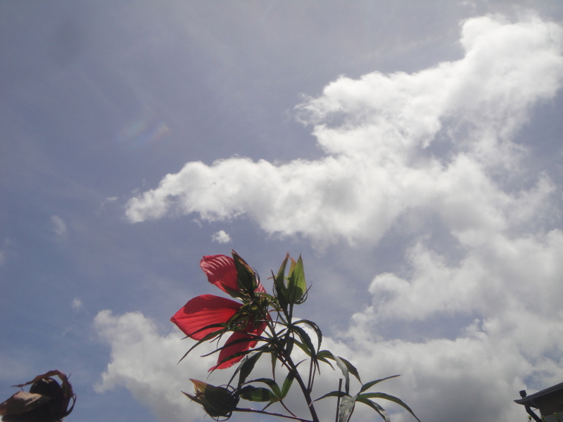 c0108460_20482560.jpg