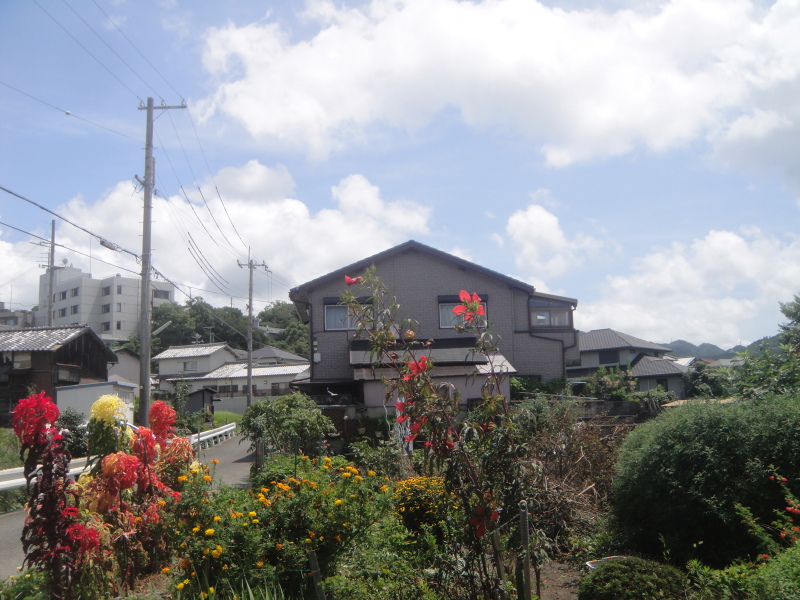 c0108460_20482741.jpg