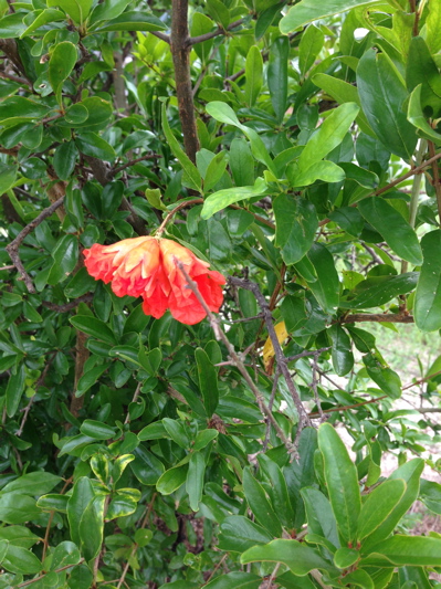 b0299869_19341753.jpg