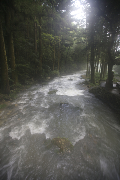 山口・秋芳洞で涼む_c0163369_116386.jpg