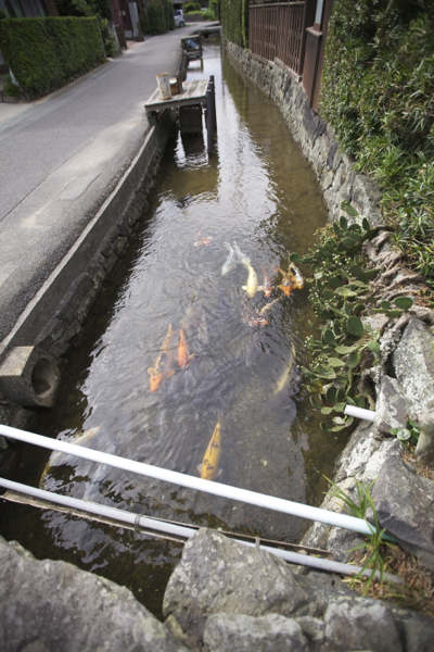 c0163369_202722.jpg