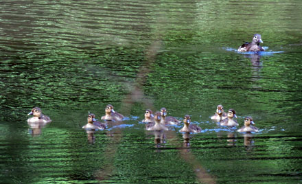 f0083977_947585.jpg