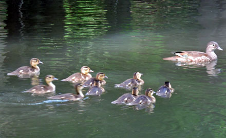 f0083977_9482018.jpg