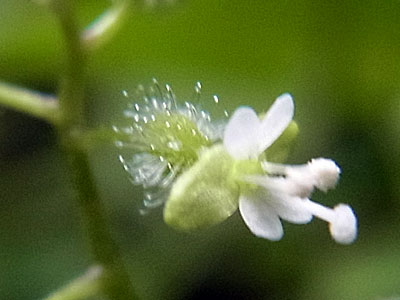 f0083977_9513290.jpg