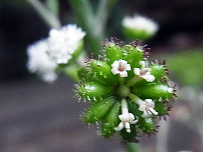 f0083977_95204.jpg