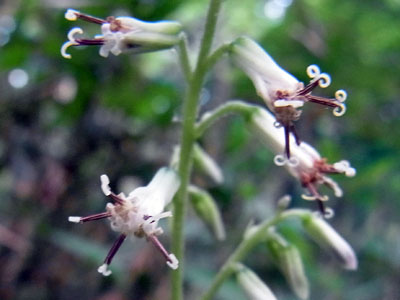 f0083977_9521531.jpg
