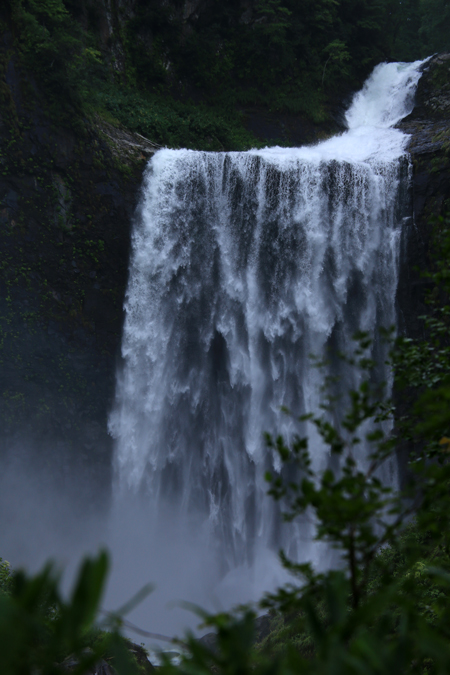 f0001895_17492760.jpg