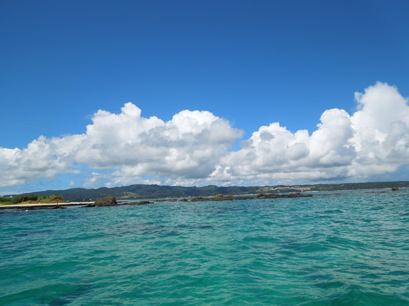 a0292602_23533638.jpg