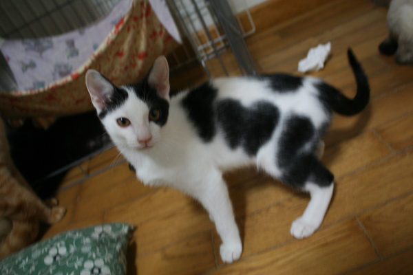 はじめまして!(とるま)_f0242002_201547.jpg