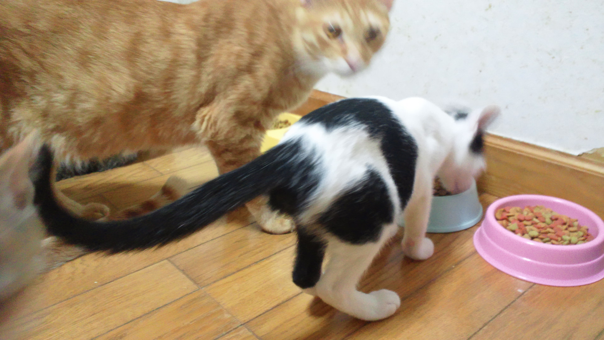 はじめまして!(とるま)_f0242002_2022172.jpg