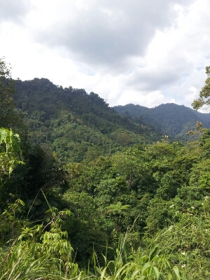 c0256503_16114597.jpg