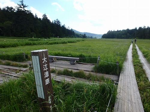 d0264710_14175145.jpg