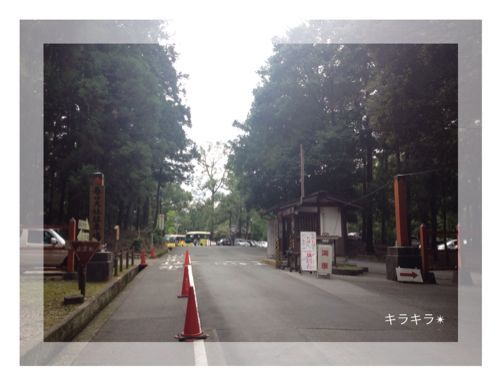 奈良に行って来ました!_f0354014_2324019.jpg