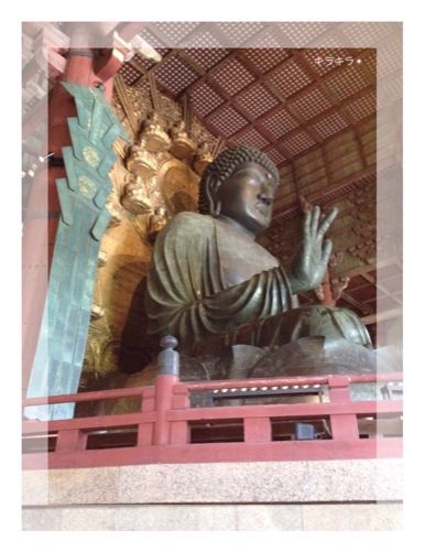 奈良に行って来ました!_f0354014_2324230.jpg