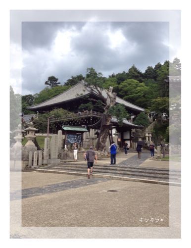 奈良に行って来ました!_f0354014_2324738.jpg