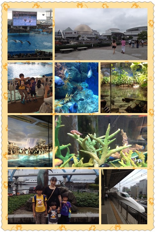 二日目は水族館へ・・・☆_f0177125_0433036.jpg