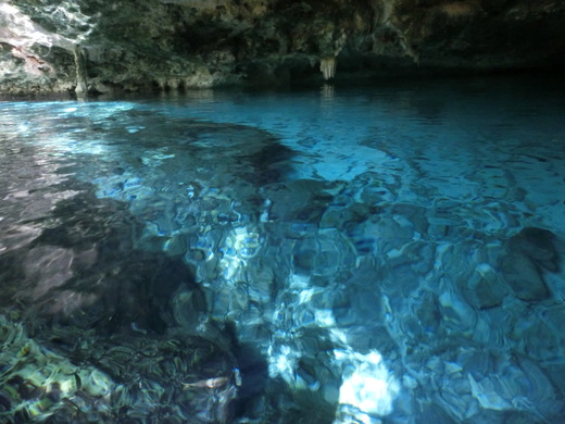 Cenotes Dos Ojos ひとりセノーテ　ドスオホス_b0129832_0453276.jpg