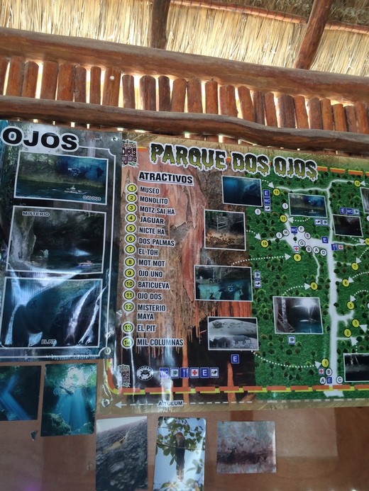 Cenotes Dos Ojos ひとりセノーテ ドスオホス_b0129832_1165463.jpg
