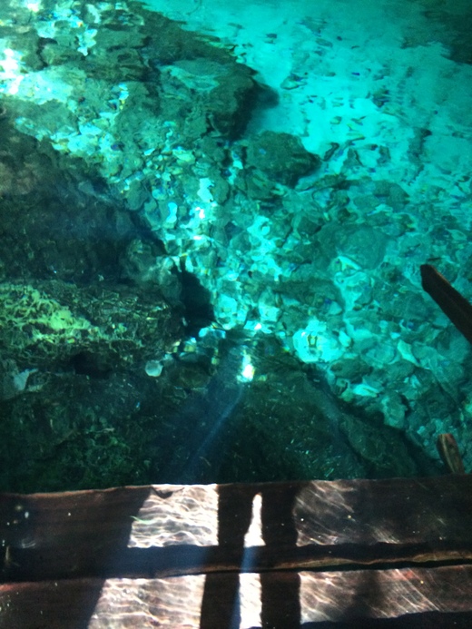 Cenotes Dos Ojos ひとりセノーテ ドスオホス_b0129832_1261777.jpg