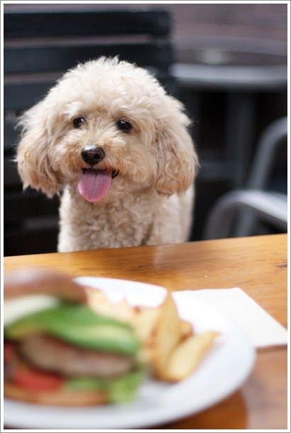 【等々力】 ハンバーガー&ハンバーグ 『CAFE vector』 テラス席犬OKのお店_c0311342_2055121.jpg