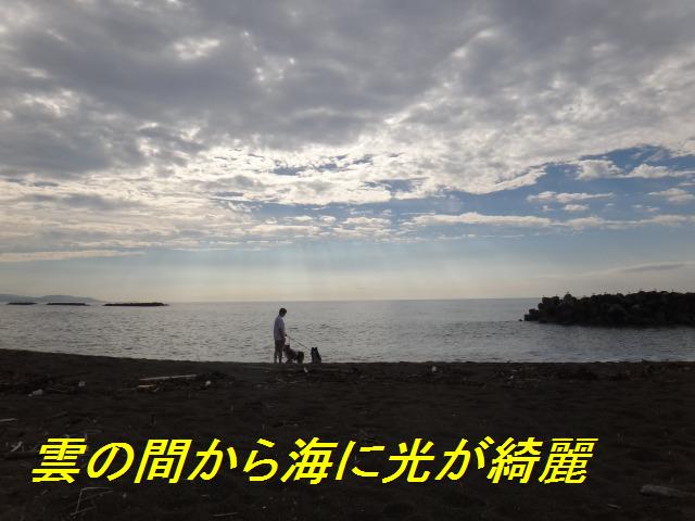 そうだ、新潟に行こう!_e0195743_1637115.jpg