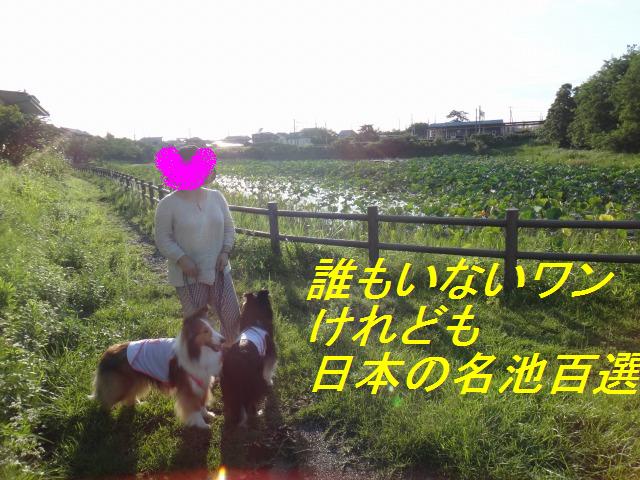 そうだ、新潟に行こう!_e0195743_16371685.jpg