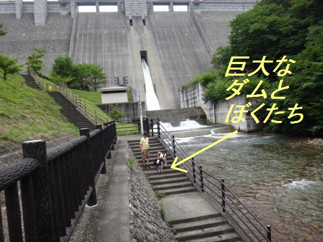旅の３日目☆ダムの下で涼しい水遊び♪_e0195743_22323681.jpg