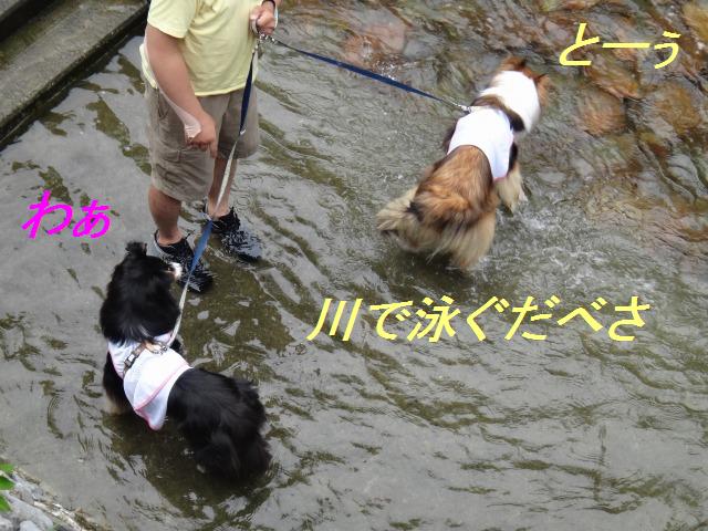 旅の3日目☆ダムの下で涼しい水遊び♪_e0195743_22325647.jpg
