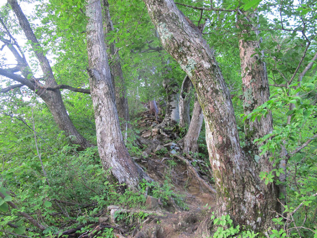 c0116856_9375153.jpg